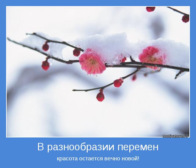 4743317_motivator31437 (644x550, 31Kb)