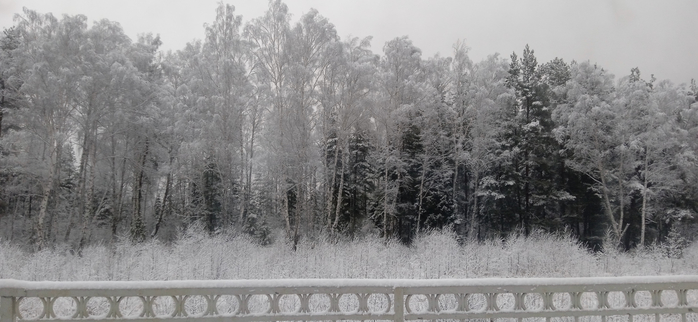 1736030778381 (700x322, 202Kb)