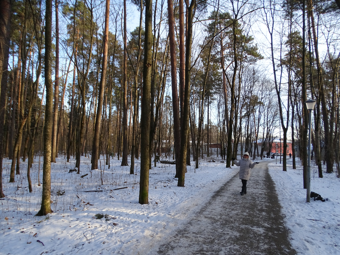 DSC00307 (700x525, 589Kb)