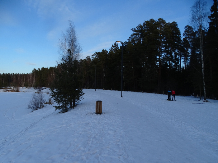 DSC00313 (700x525, 332Kb)