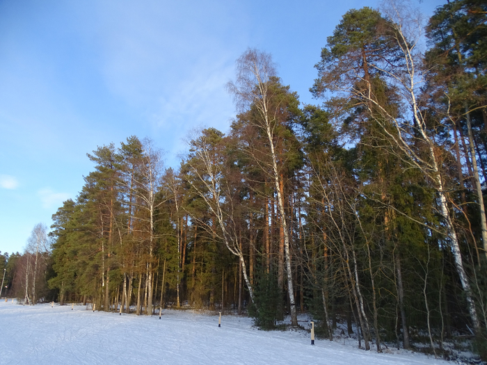 DSC00318 (700x525, 475Kb)
