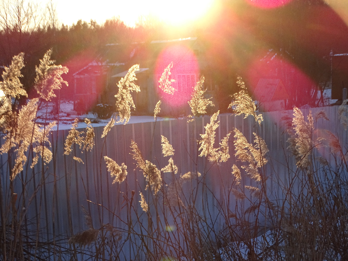 DSC00394 (700x525, 471Kb)