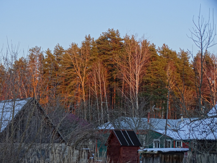 DSC00401 (700x525, 498Kb)