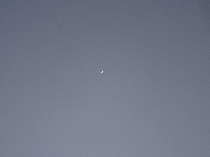 DSC00404 (700x525, 242Kb)