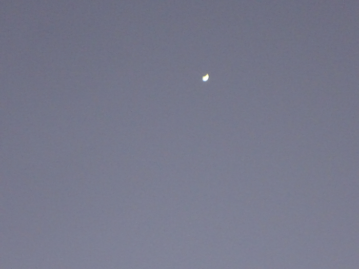 DSC00408 (700x525, 241Kb)