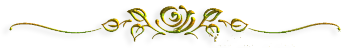 20 (700x98, 65Kb)
