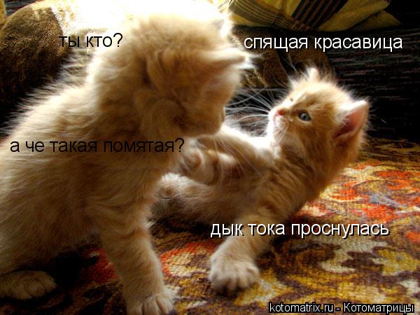 4743317_w (600x450, 52Kb)
