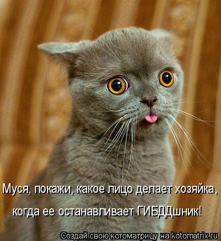 4743317_i5525 (441x480, 60Kb)