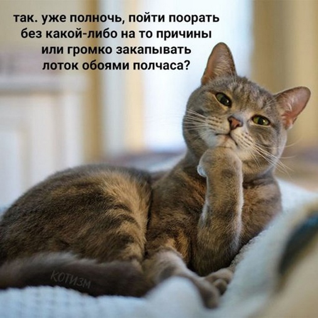 4743317_163920458_162014367_VwBLyC8QfNM (640x640, 125Kb)