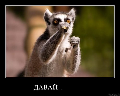 4743317_1254919372_036 (500x403, 38Kb)