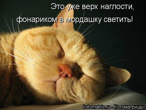 4743317_Va (500x375, 34Kb)