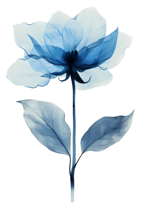 840cac70636b561187d11ac806ad0b5e (472x700, 202Kb)