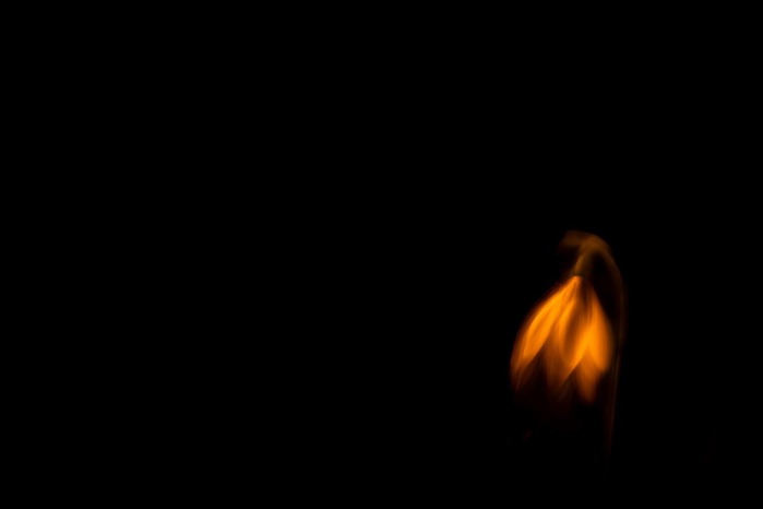 4702950_zagruzka_25_1742388087 (700x466, 6Kb)