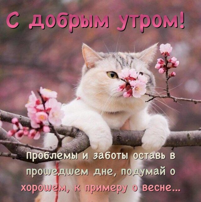 4743317_image20190325 (640x643, 74Kb)