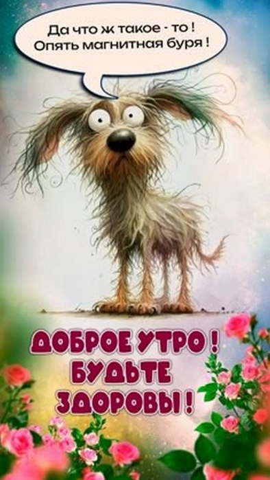4743317_a56335f0 (394x700, 182Kb)