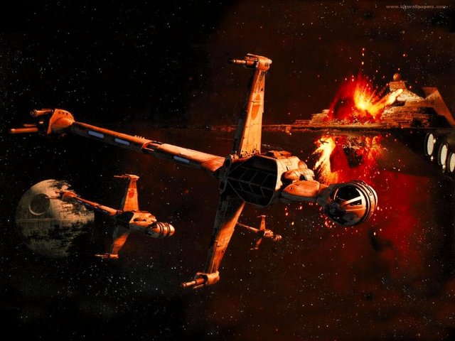 4743317_bwing_1024 (640x480, 58Kb)