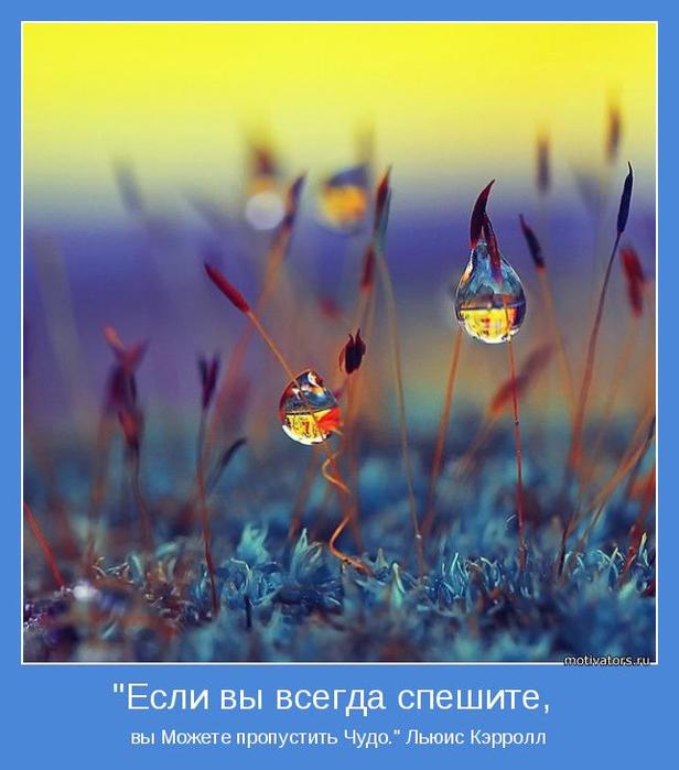 4743317_motivator39747 (616x700, 45Kb)