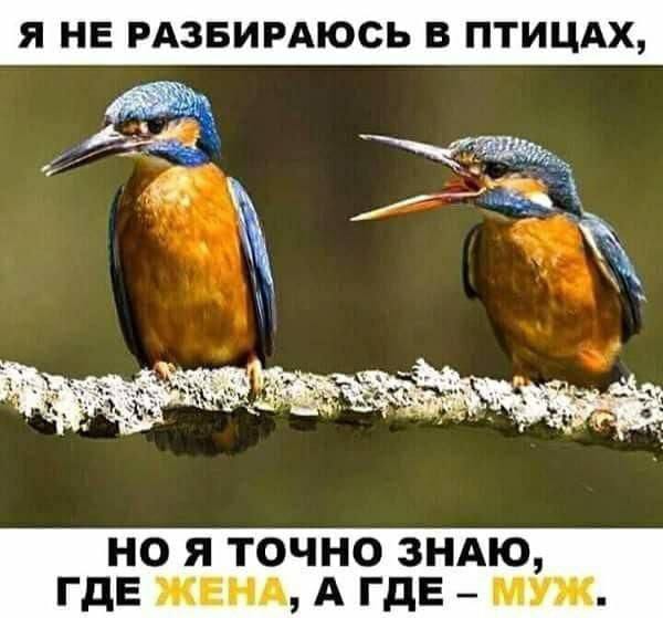  WhatsApp 2025-03-24  17.16.33_d46bcdb8 (600x559, 38Kb)