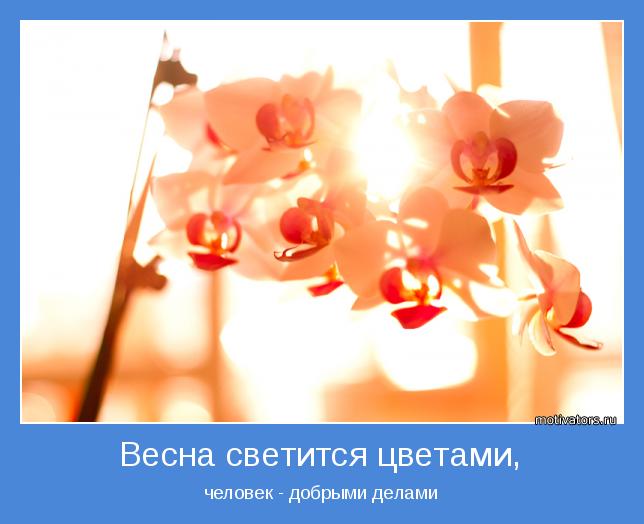 4743317_motivator46708 (644x524, 32Kb)