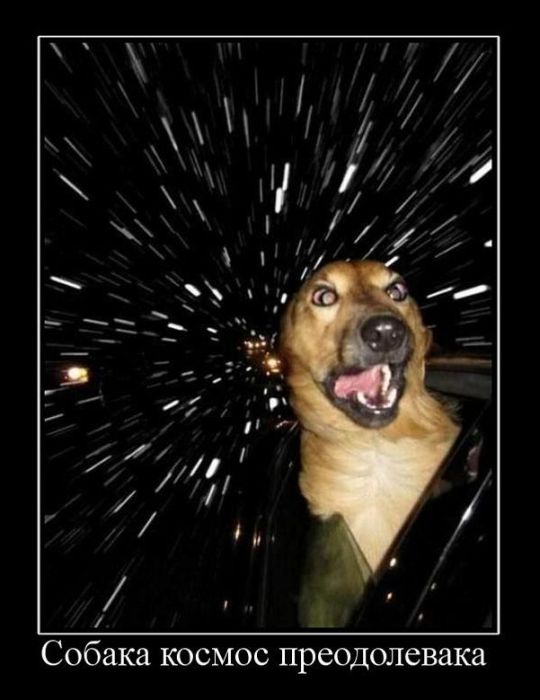 4743317_demotivatory_24 (540x700, 55Kb)