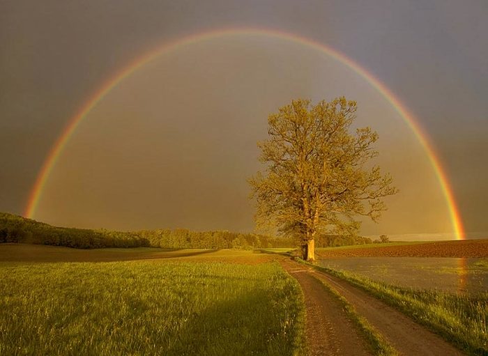 3422645_jyvvg8 (700x511, 50Kb)