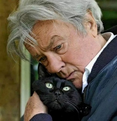 3109898_delon_i_koshka_justin (380x395, 62Kb)