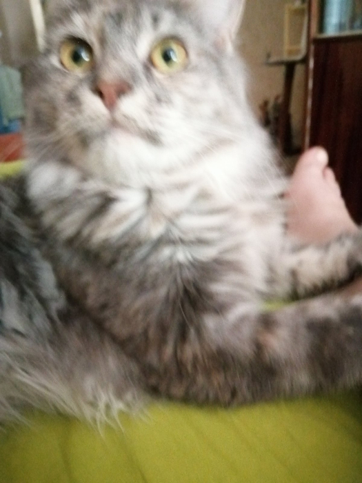 изображение_viber_2022-08-01_16-12-32-679 (525x700, 289Kb)