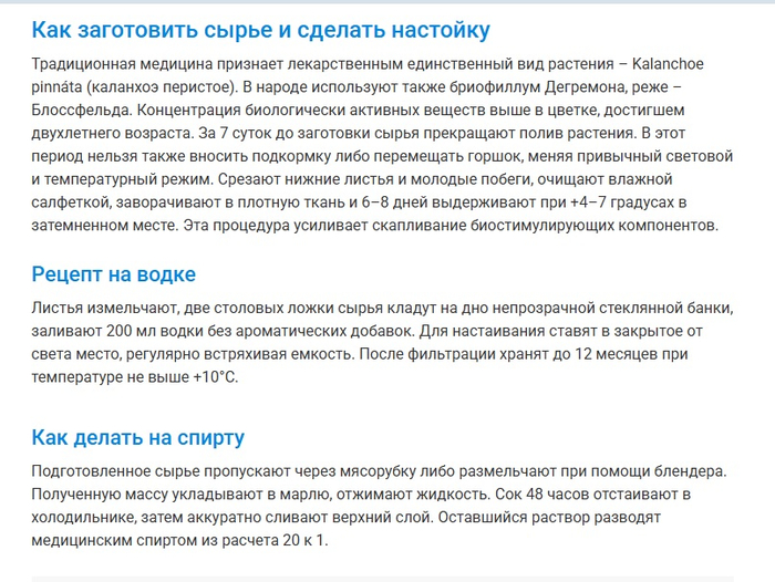 каланх 1 (700x526, 367Kb)