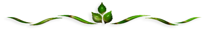 0-5 (700x108, 84Kb)