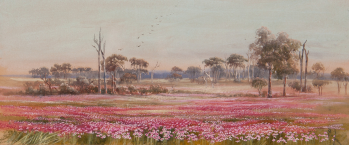 202197-ELLIS-ROWAN-Western-Australian-Wildflowers-HI-RES (700x290, 266Kb)