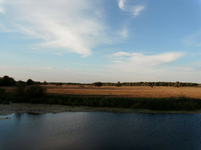 40576103 (700x525, 228Kb)