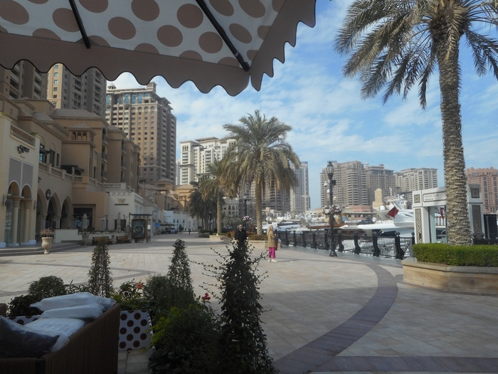 4878453_DSCN0387 (700x525, 293Kb)