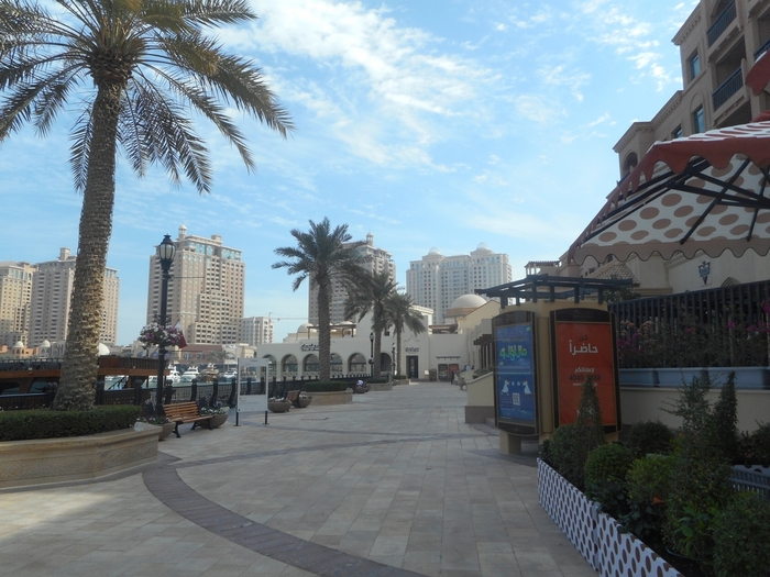 4878453_DSCN0392 (700x525, 283Kb)
