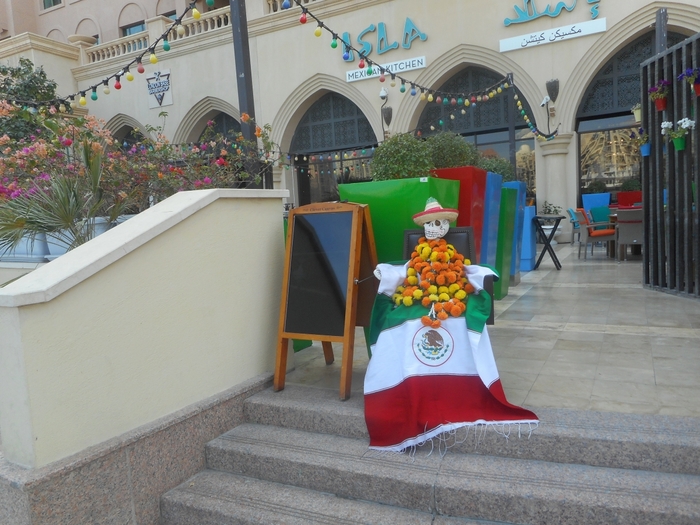 4878453_DSCN0394 (700x525, 296Kb)