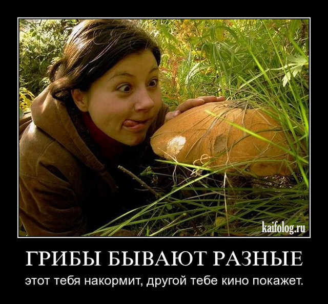 4743317_1255414932_141_1_ (640x594, 120Kb)