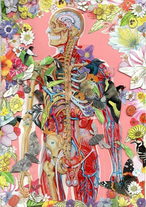 content_1_(1) (495x700, 89Kb)