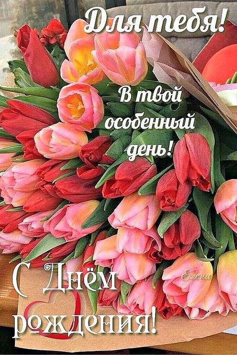     (466x700, 107Kb)