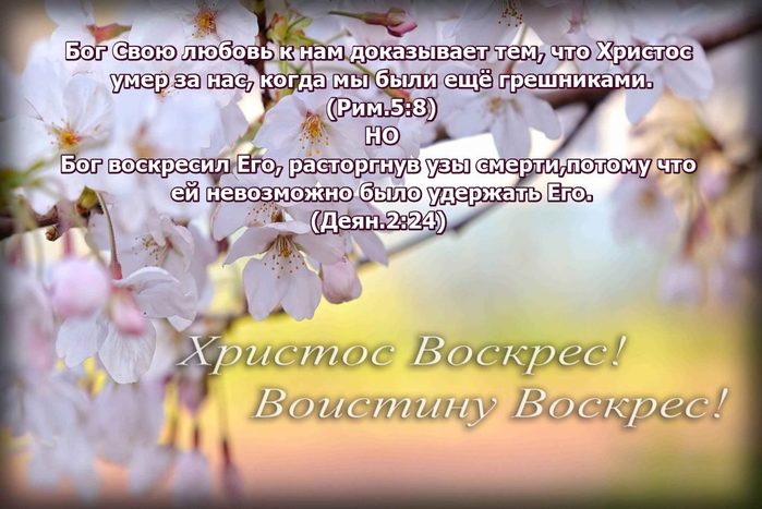 Rao5q95A4O5p (700x467, 66Kb)