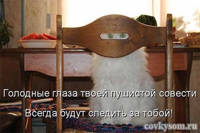 4743317_i24378 (640x425, 60Kb)