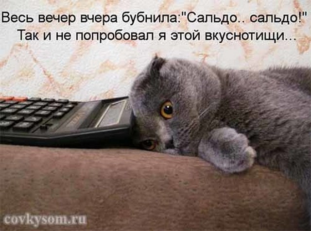 4743317_i24377 (640x476, 70Kb)