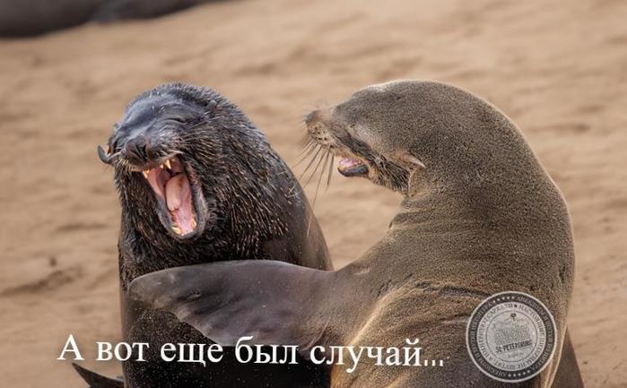 BylSluchay-20.04.2025+ (700x433, 47Kb)