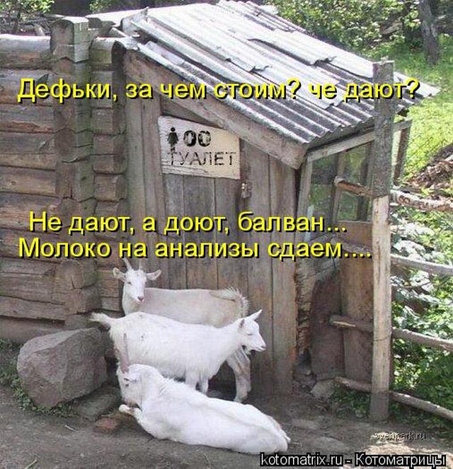 4743317_4c (640x663, 97Kb)