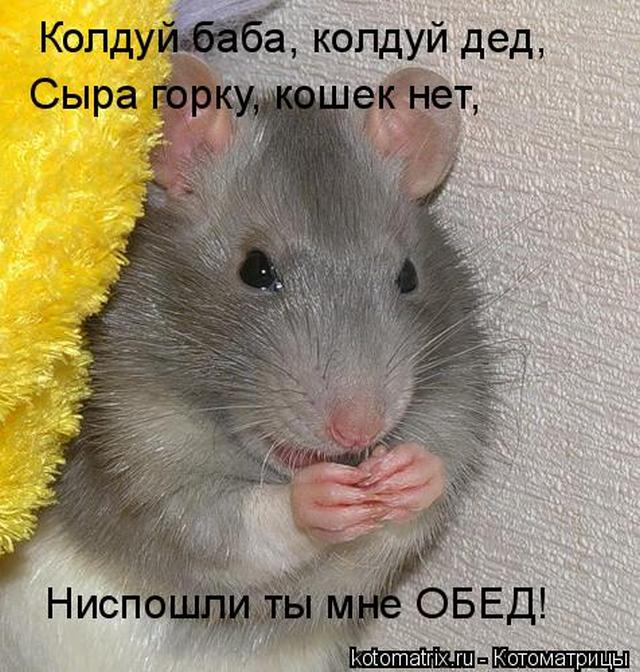 4743317_Ofb (640x672, 88Kb)