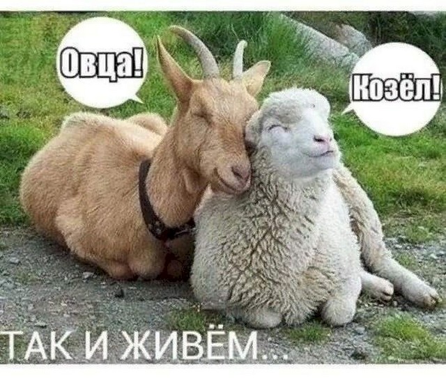 4743317_9ba66269 (640x543, 111Kb)