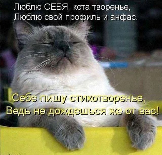 4743317_i5654 (640x612, 70Kb)