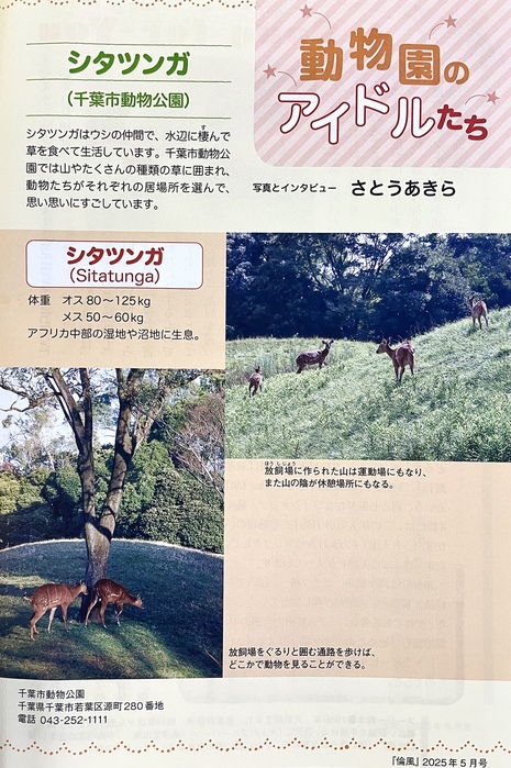 ０ーIMG_1786 (465x700, 195Kb)
