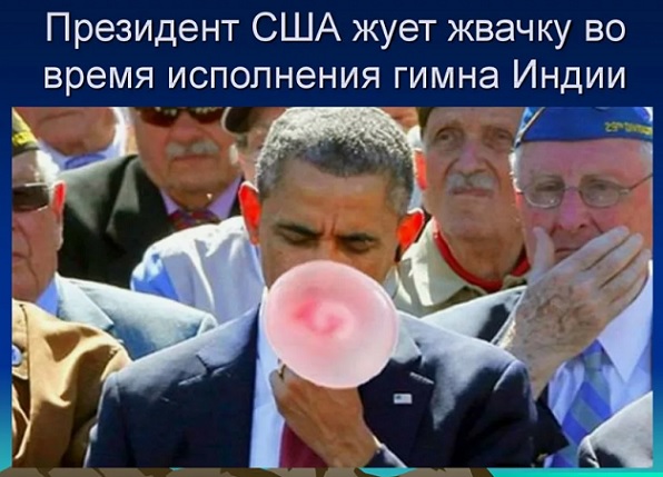 4878453_jvachka334M (596x429, 85Kb)