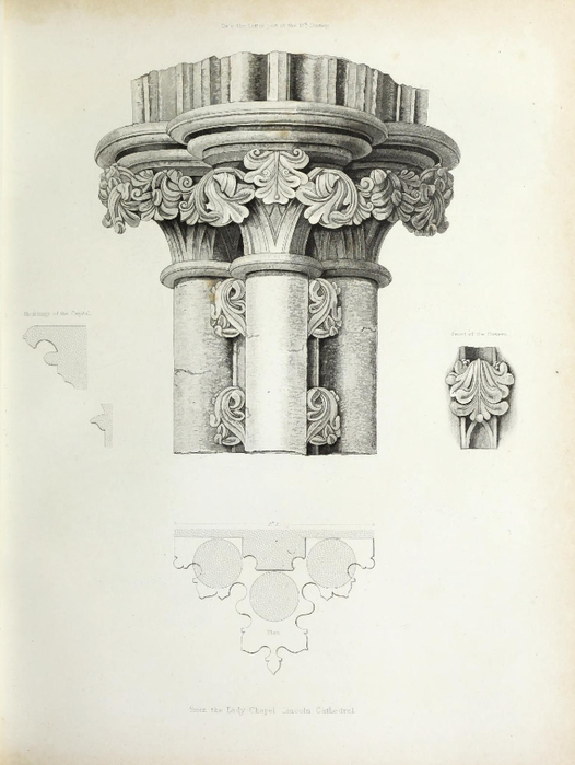 encyclopaediaofo00shaw_0031 (526x700, 229Kb)