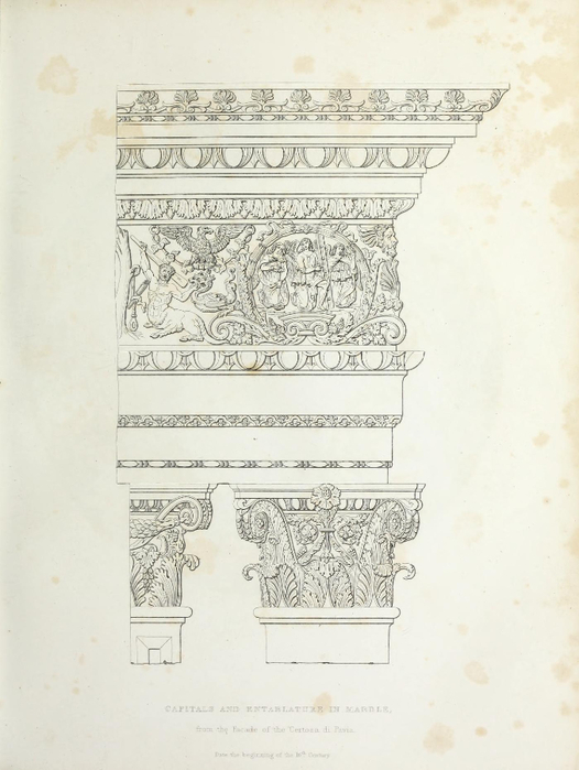 encyclopaediaofo00shaw_0035 (526x700, 255Kb)