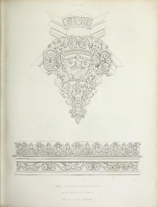 encyclopaediaofo00shaw_0059 (533x700, 227Kb)